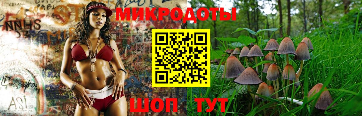 Галлюциногенные грибы Cubensis  Вход с VPN  Выборг 